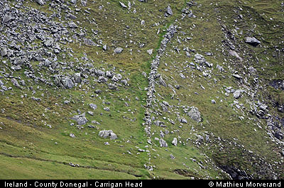carriganhead05
