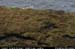 sliabhliag159