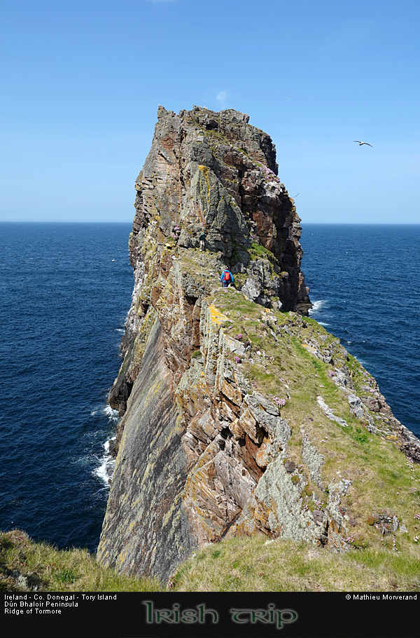 20260527_080