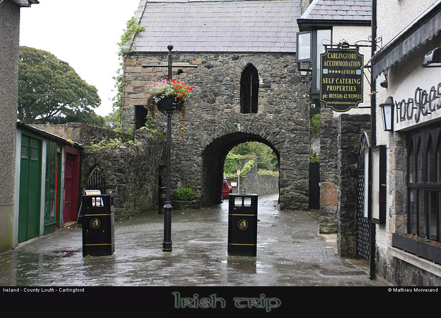 carlingford04