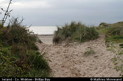 brittasbay01