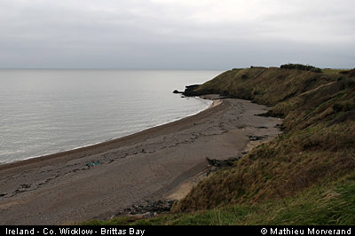 brittasbay04
