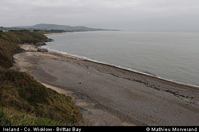 brittasbay08