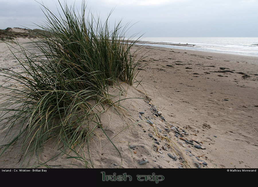 brittasbay03