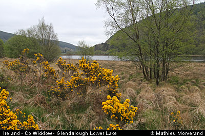 glendalough_lowerlake1