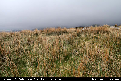 glendalough_valley5