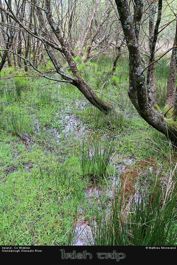 glendalough_glenealoriver5