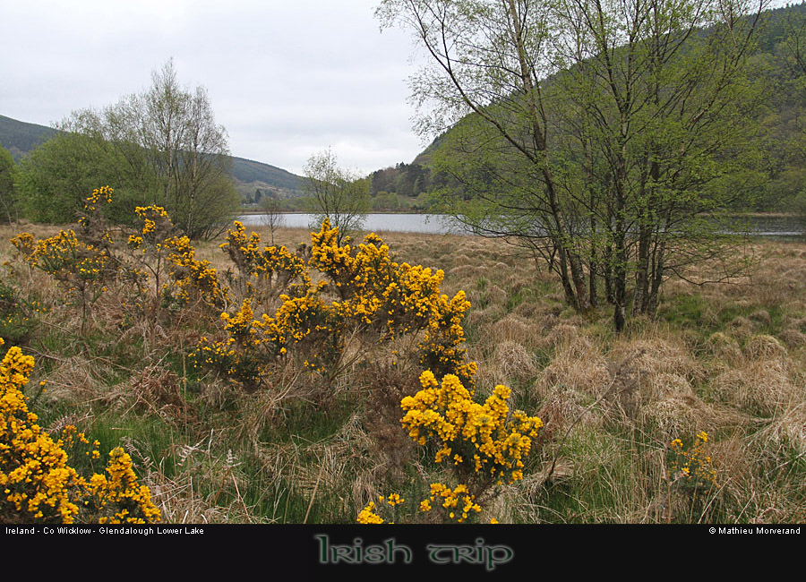 glendalough_lowerlake1
