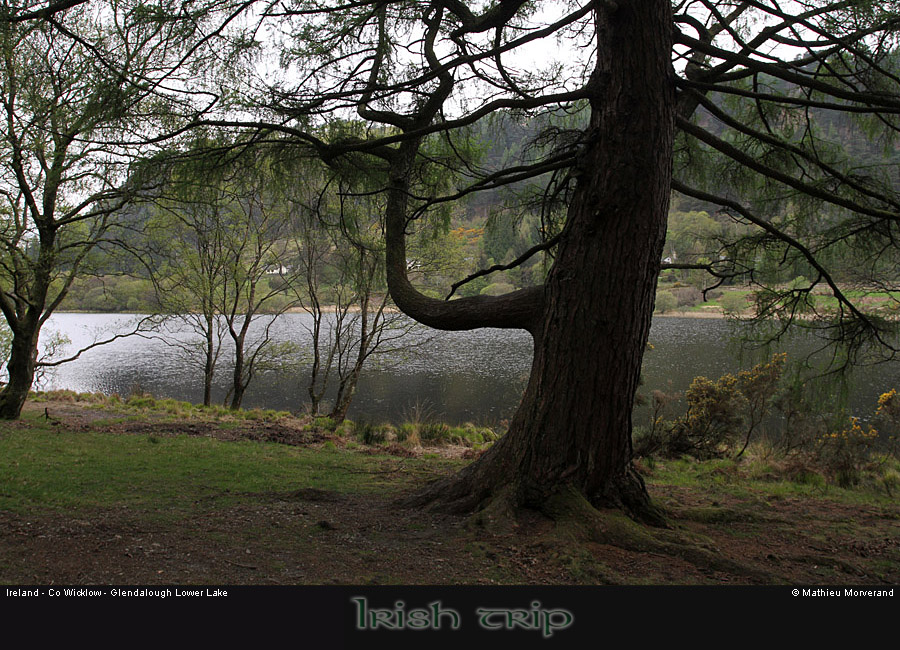 glendalough_lowerlake3