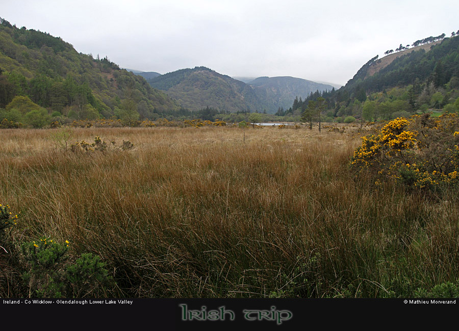 glendalough_lowerlakevalley2