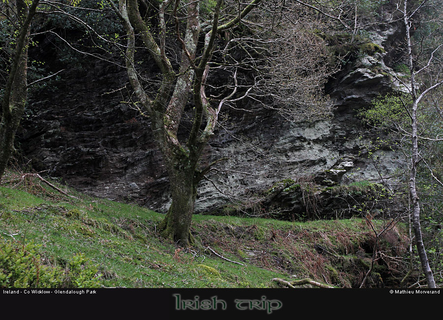 glendalough_park04