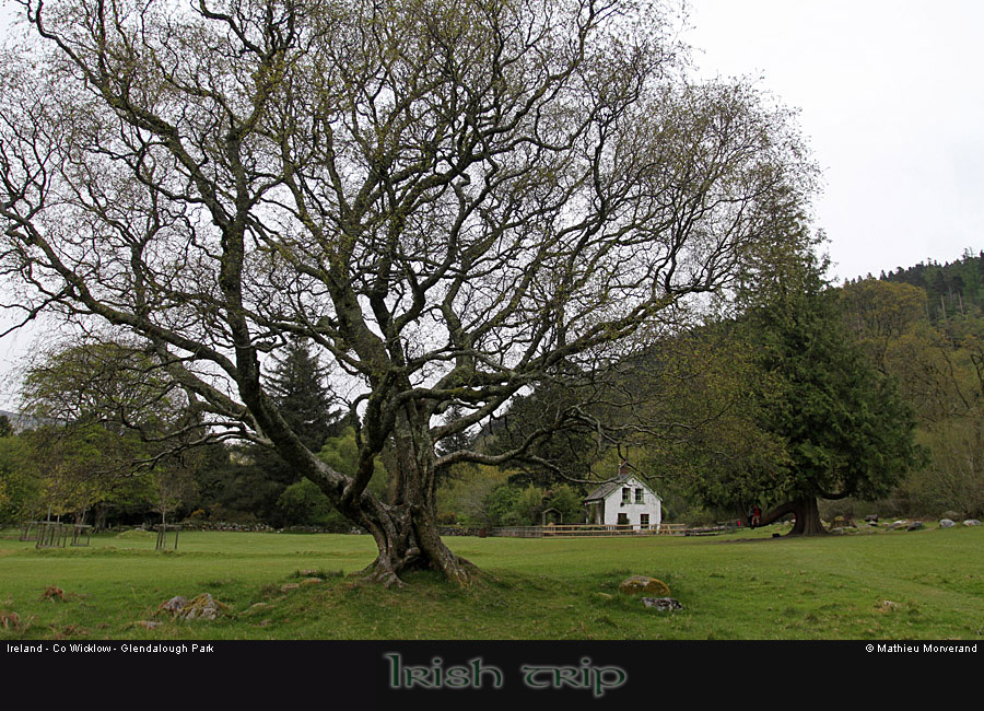 glendalough_park06