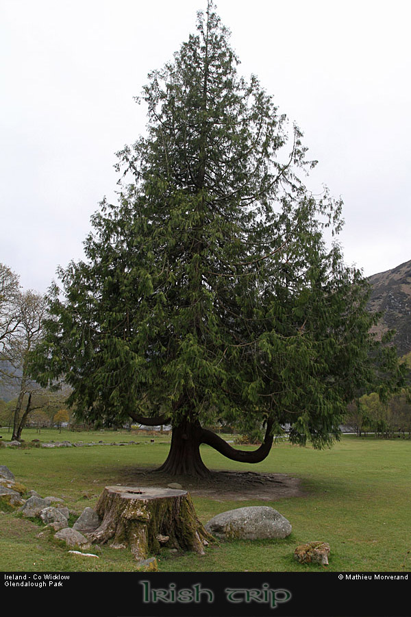 glendalough_park07