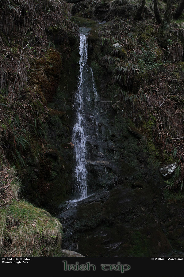 glendalough_park08