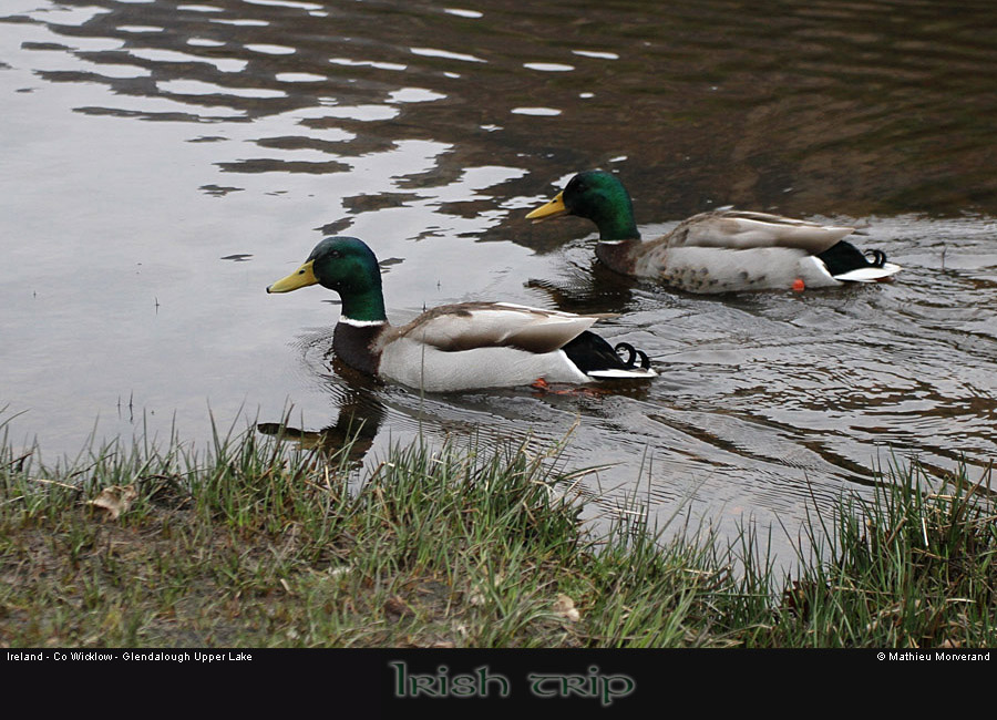 glendalough_upperlake8