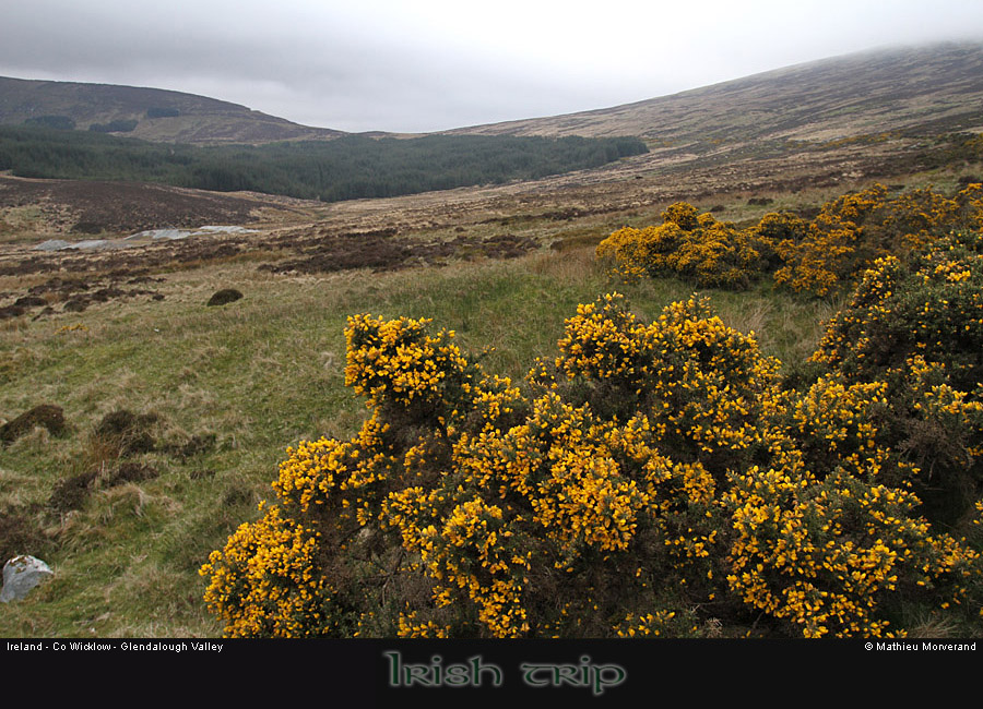 glendalough_valley2