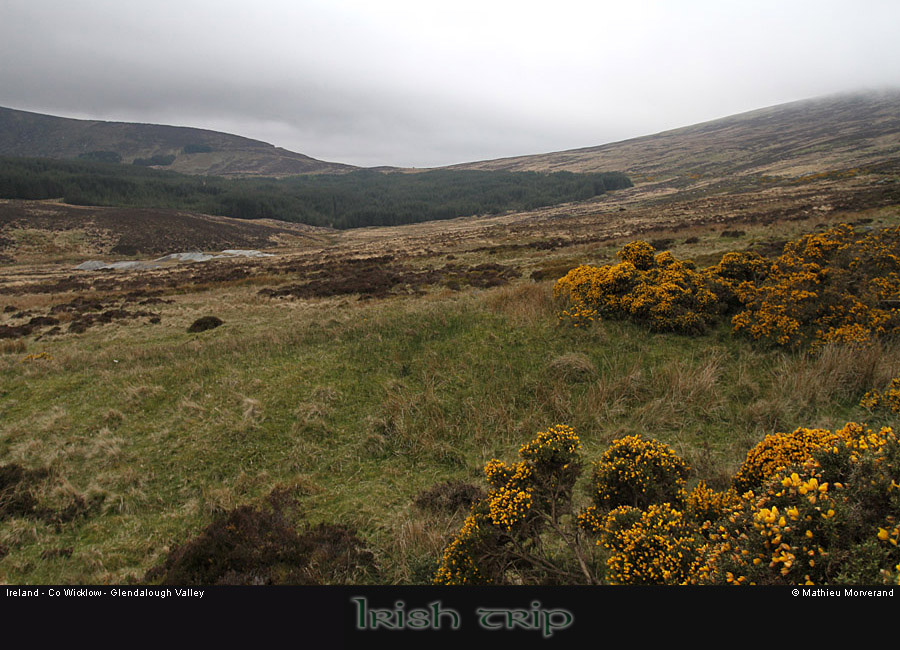 glendalough_valley3