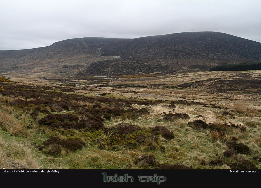 glendalough_valley4