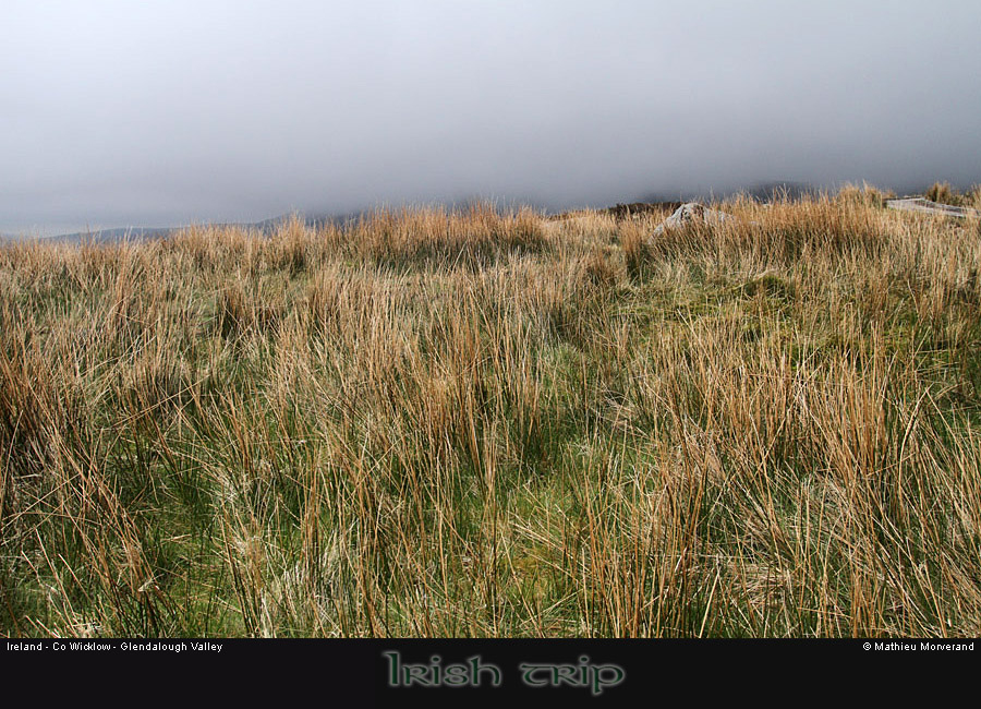 glendalough_valley5