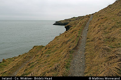 wicklow_head_coast02