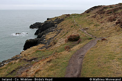 wicklow_head_coast03