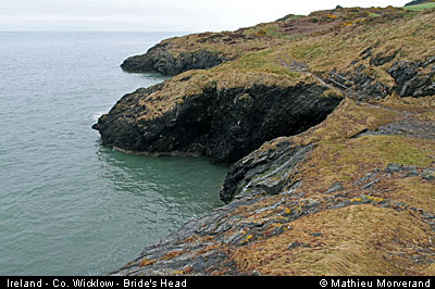wicklow_head_coast04