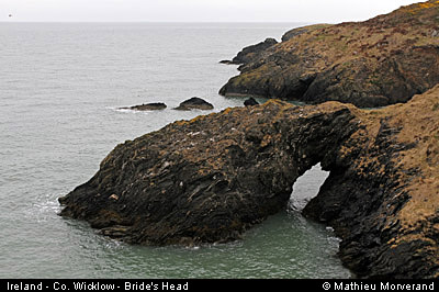 wicklow_head_coast05
