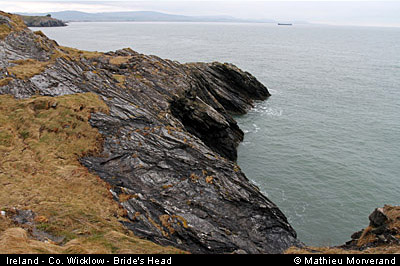 wicklow_head_coast07