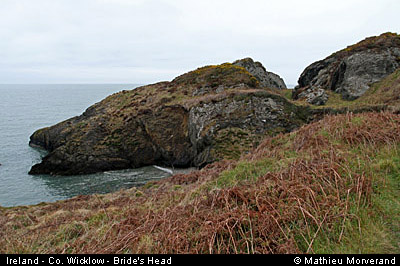 wicklow_head_coast08