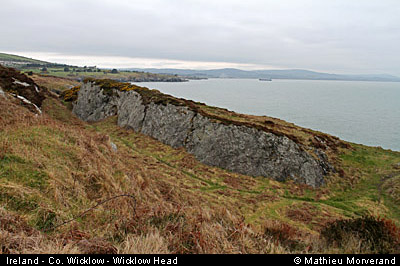 wicklow_head_coast10