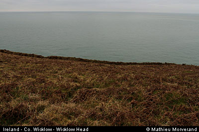 wicklow_head_coast11