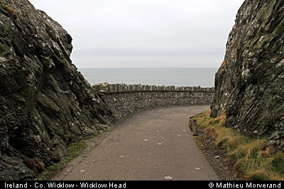 wicklow_head_lighthouseway1