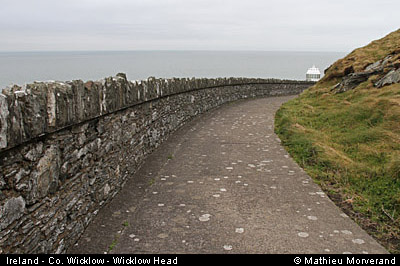 wicklow_head_lighthouseway2