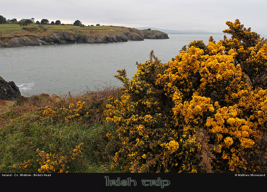 wicklow_head_coast01