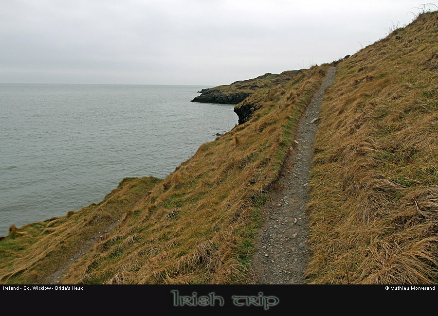 wicklow_head_coast02