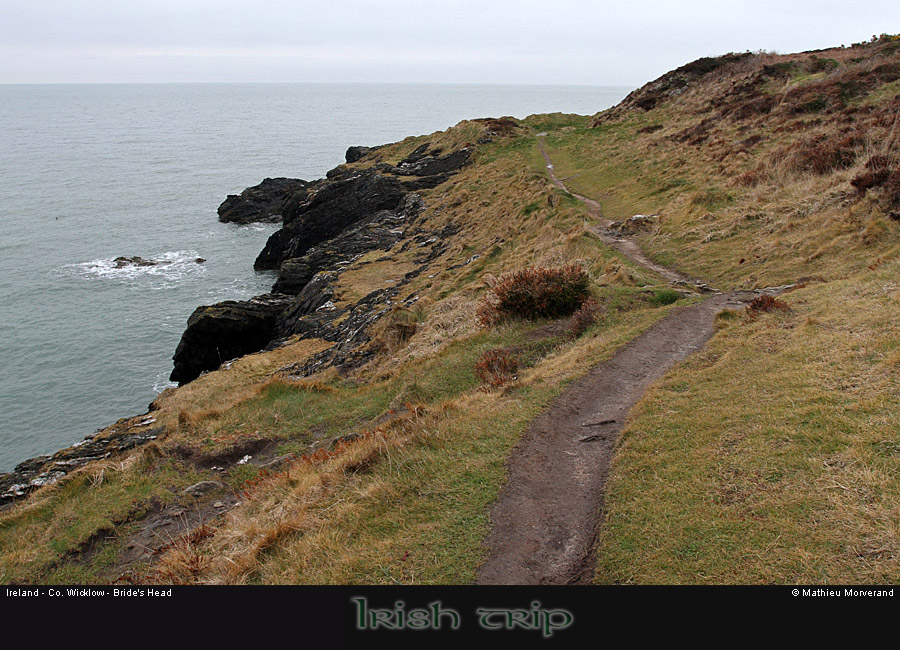 wicklow_head_coast03