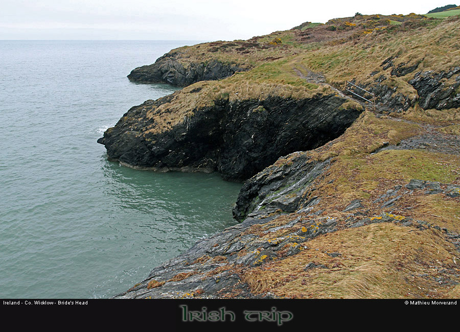 wicklow_head_coast04