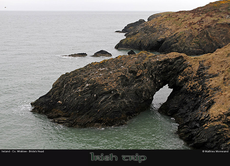wicklow_head_coast05