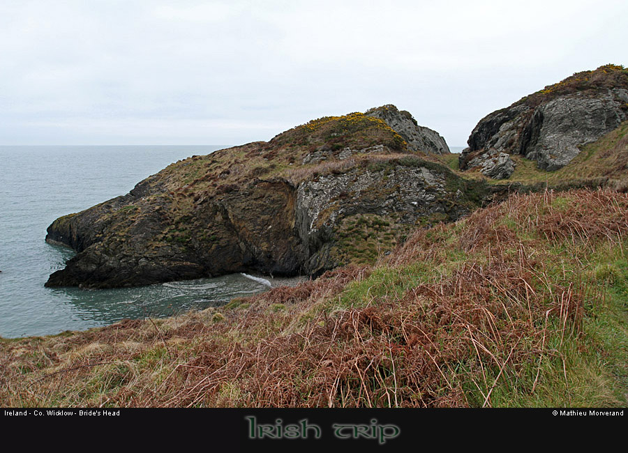 wicklow_head_coast08