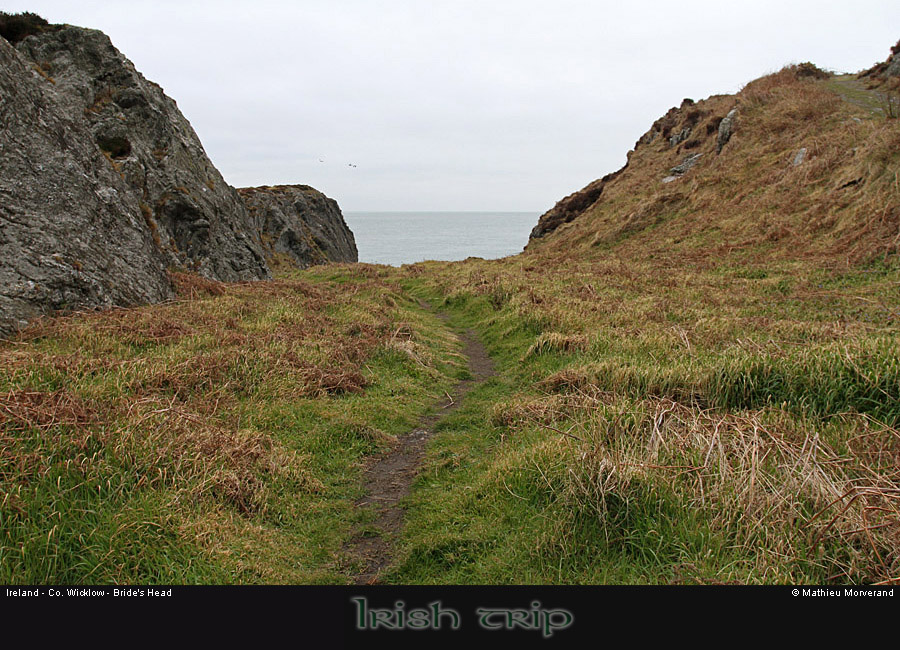 wicklow_head_coast09