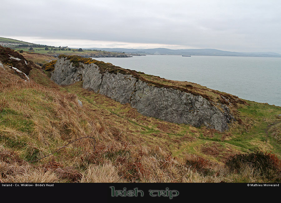 wicklow_head_coast10