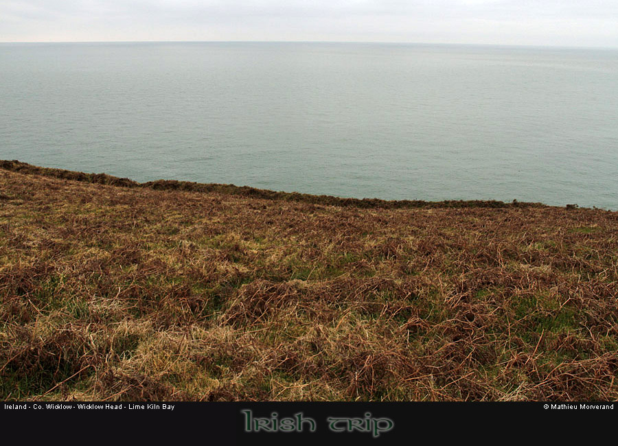 wicklow_head_coast11