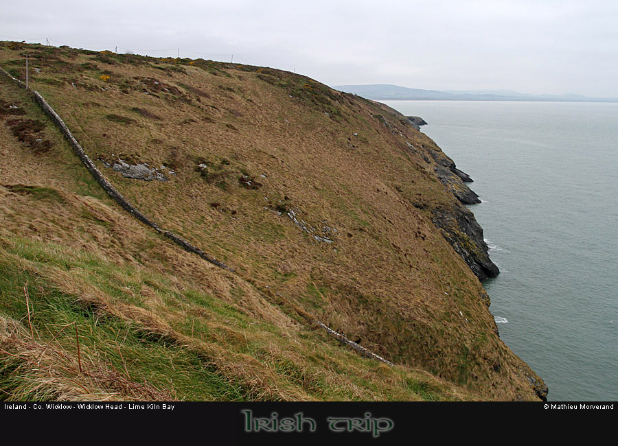 wicklow_head_coast12