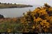 wicklow_head_coast01