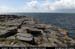 arandoonaghardheadw07
