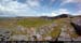 arandunduchathairpano01