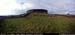 aranduneochlaoutpano01