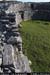 araneoghanachtain10