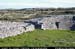 araneoghanachtain12