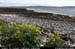 aranbarfeentabay1